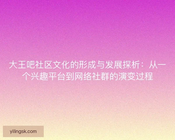 大王吧社区文化的形成与发展探析：从一个兴趣平台到网络社群的演变过程